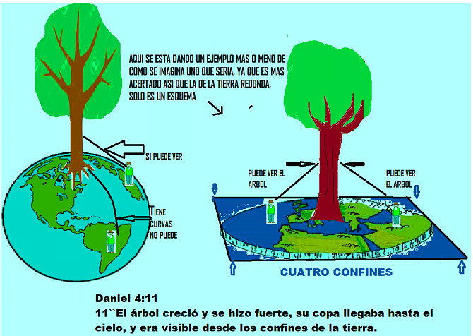 arbol